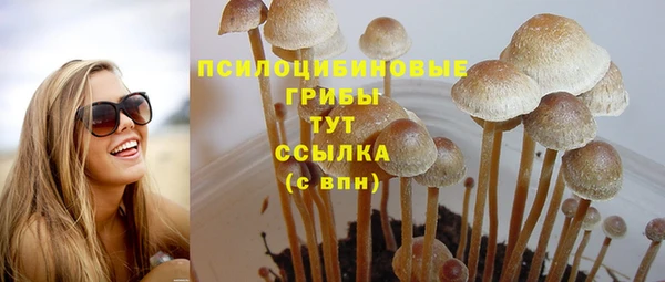 ALPHA PVP Верхнеуральск