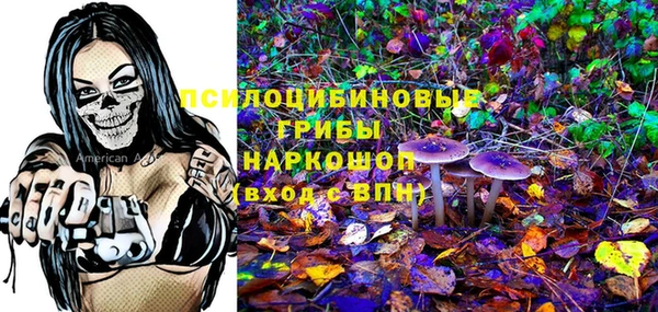 PSILOCYBIN Верея