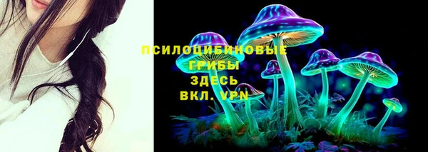 а пвп мука Верхний Тагил