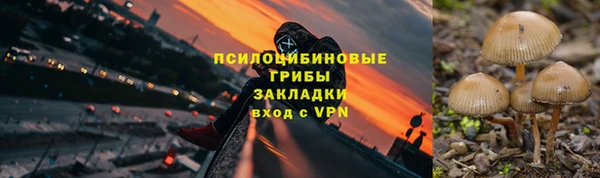 а пвп мука Верхний Тагил