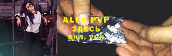 PSILOCYBIN Верея