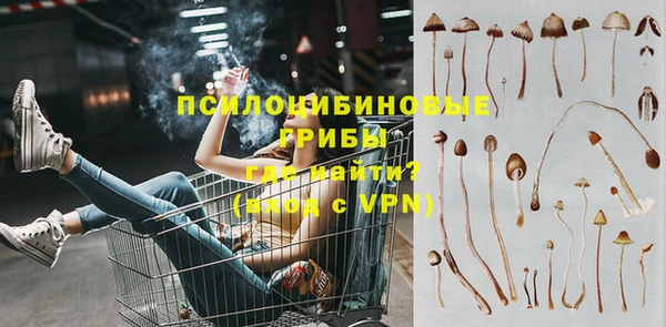 PSILOCYBIN Верея