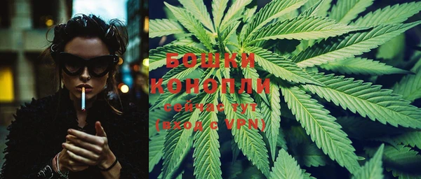 PSILOCYBIN Верея