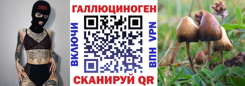 mega маркетплейс  Черноголовка  Галлюциногенные грибы GOLDEN TEACHER 